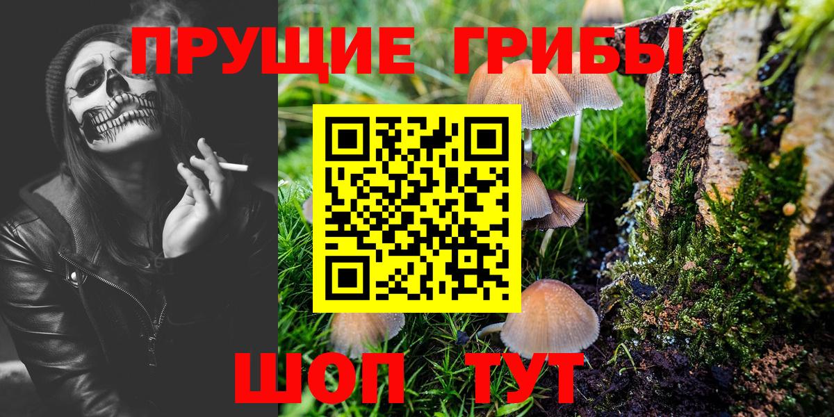 Галлюциногенные грибы мицелий Магнитогорск
